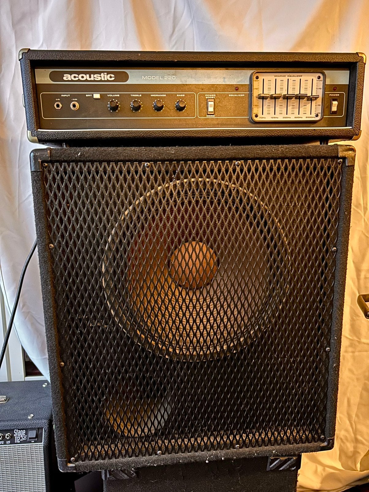 Acoustic 220 bass head & Peavey 115 Black Widow cab, Ophalen, Gebruikt, Basgitaar, 100 watt of meer