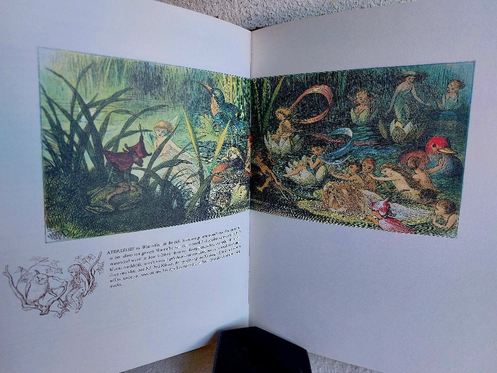 Richard Doyle In Elfenland: Beelden uit een wonderwereld, Boeken, Ophalen, Zo goed als nieuw, Prentenboek