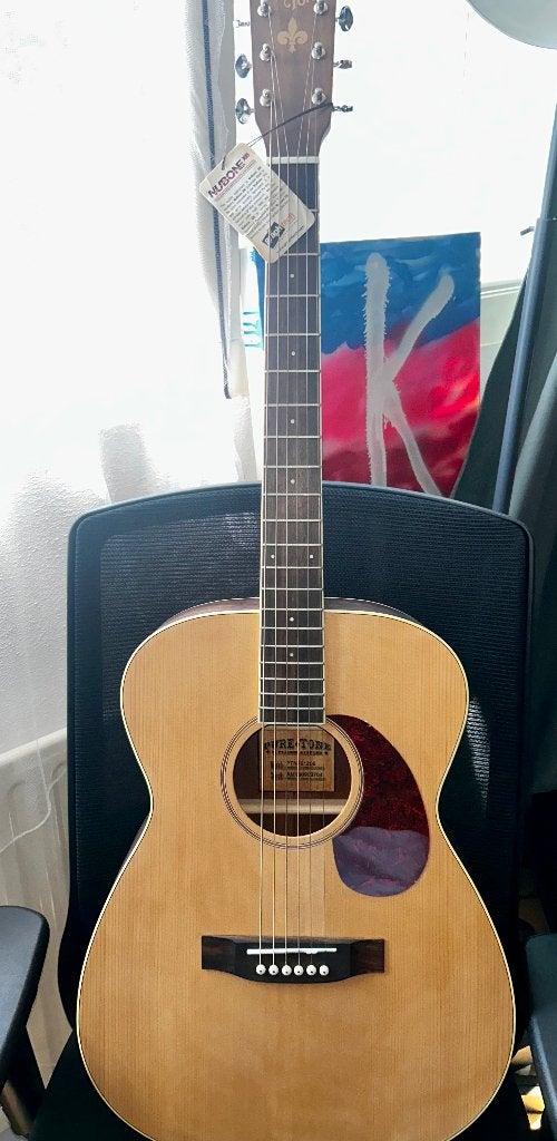 pure tone ptn101266 westerngitaar gitaar, Semi-solid body, Gebruikt, Met versterker, Ophalen