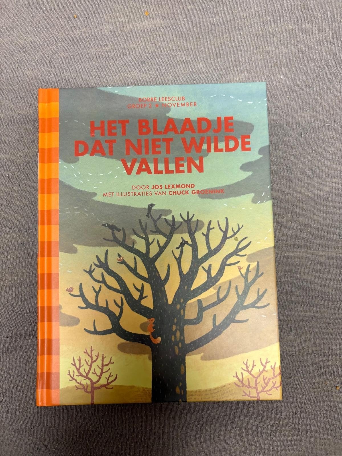 Mooie boeken minecraft jesper en rik naar de maan, Ophalen of Verzenden, Zo goed als nieuw, Interieur en Design
