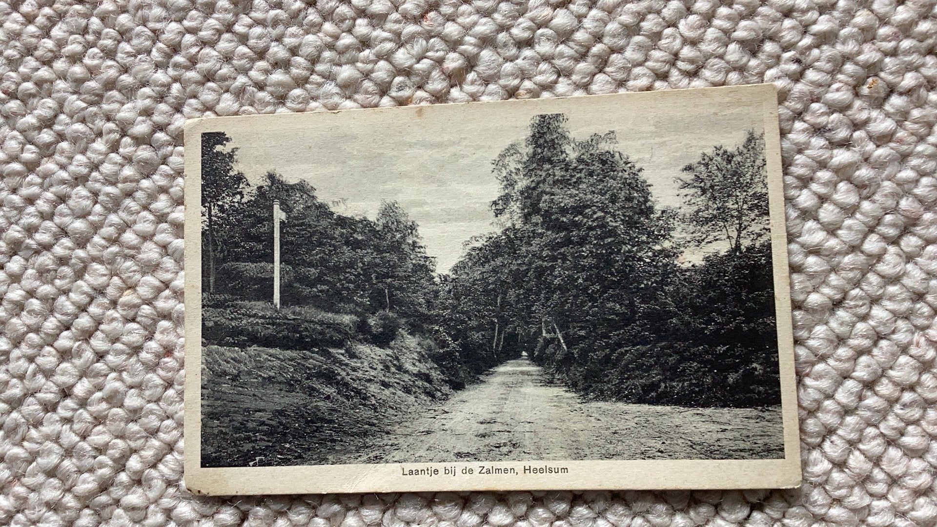 Ansichtkaart Heelsum Laantje bij de Zalmen 1928. 991, Ophalen of Verzenden, 1920 tot 1940, Gelopen, Gelderland