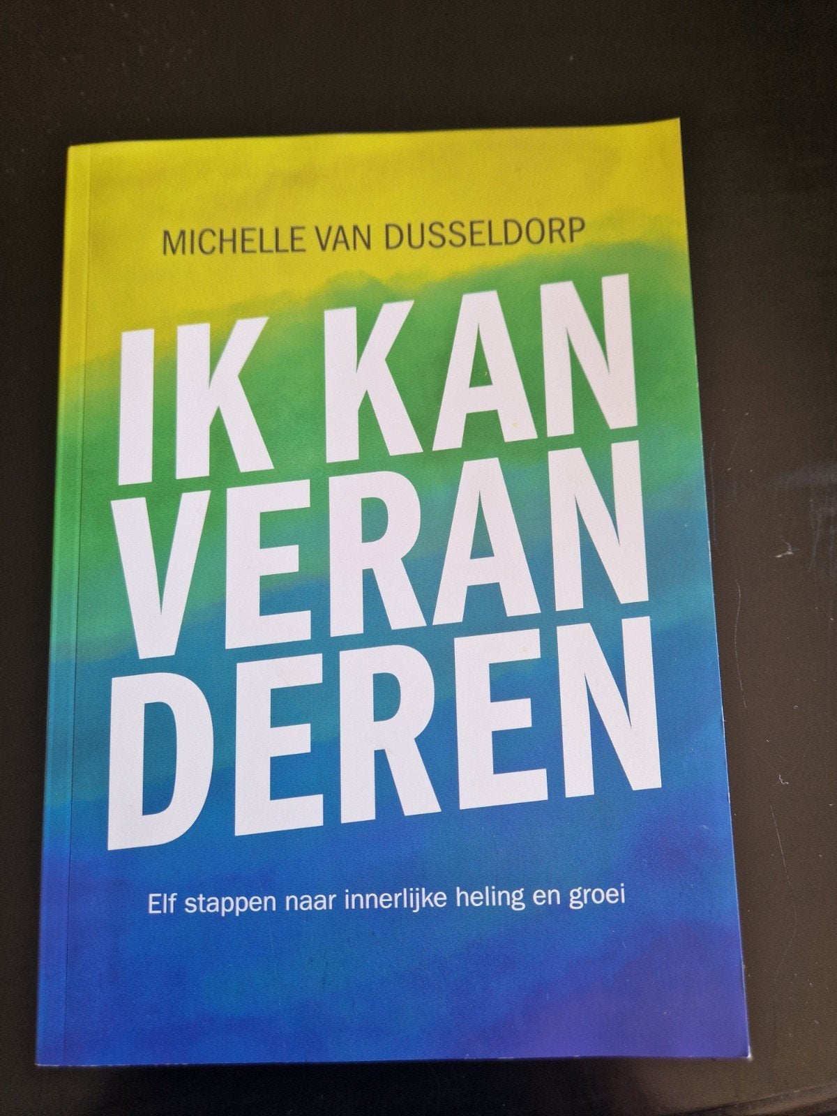 Michelle van Dusseldorp - Ik kan veranderen, Ophalen of Verzenden, Zo goed als nieuw, Michelle van Dusseldorp
