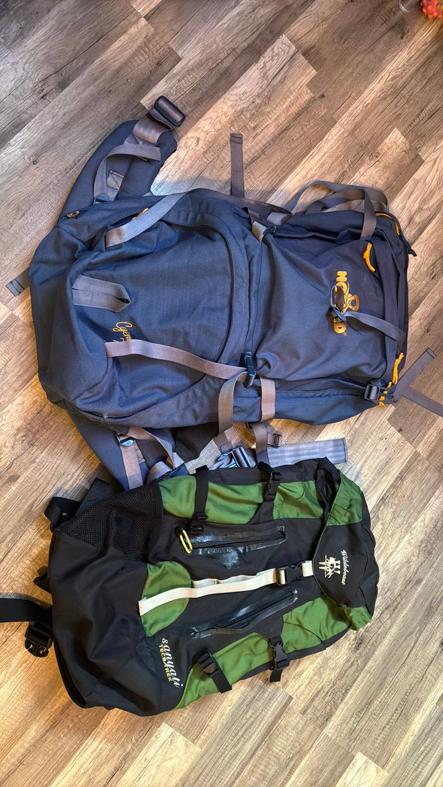Twee backpacks, Sport en Fitness, Bergsport en Wandelen, Ophalen, Gebruikt, Rugzak