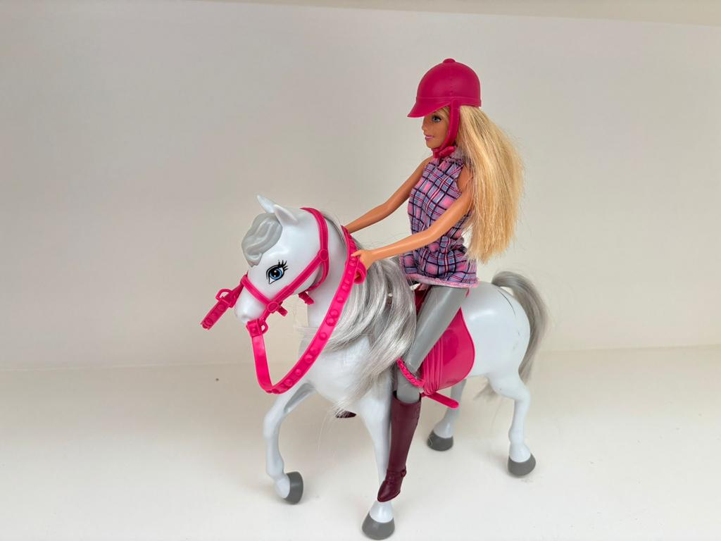 Barbie met paard en accessoires, Ophalen of Verzenden, Gebruikt, Meisje