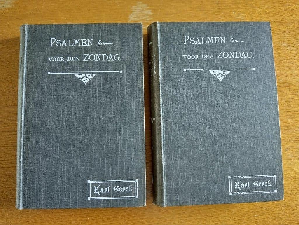 Nr. 1038 Karl Gerok, Psalmen voor den Zondag, 2 delen, Ophalen of Verzenden, Gerok, Karl