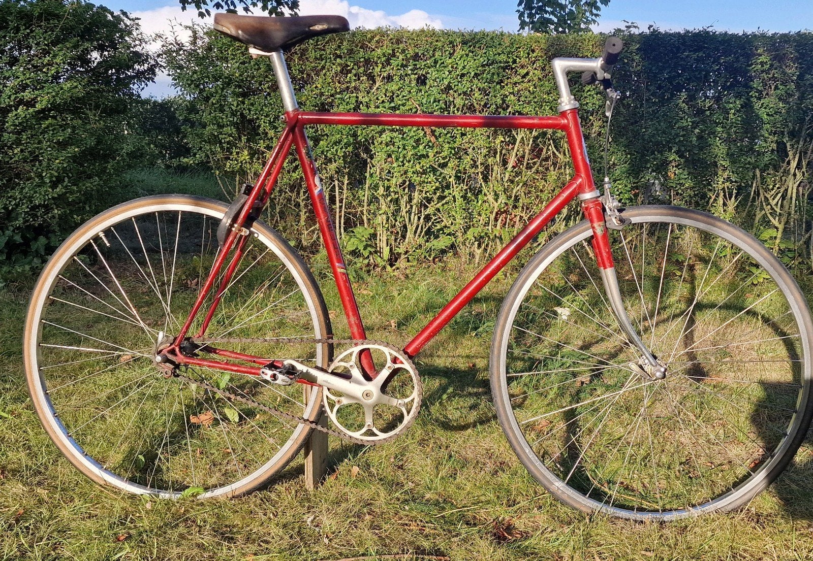 Gazelle Champion Mondial c-t 60 cm, fixie, single gear, Gebruikt, Ophalen of Verzenden, 57 tot 61 cm, Gazelle