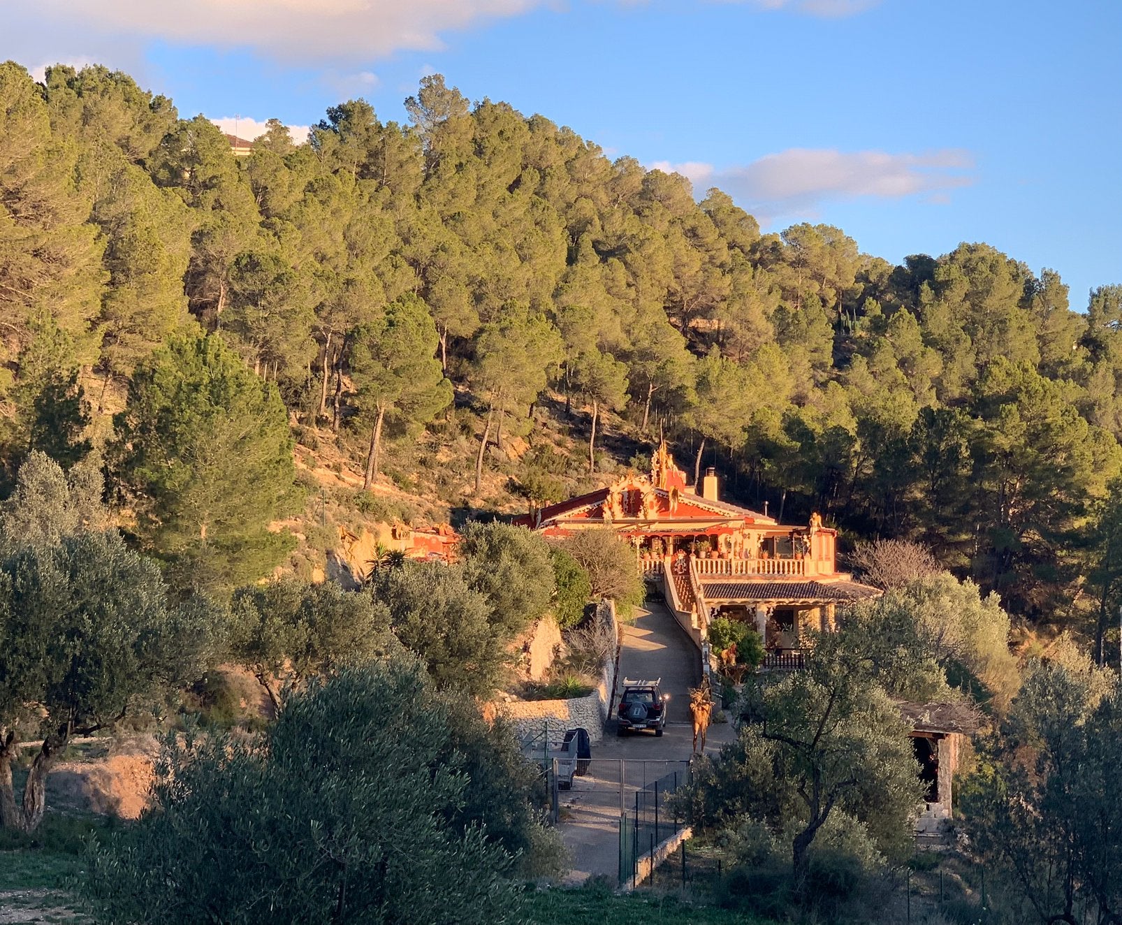 COSTA BLANCA (binnenland) uniek appartement in natuur, Vakantie, Vakantiehuizen | Spanje, Tuin