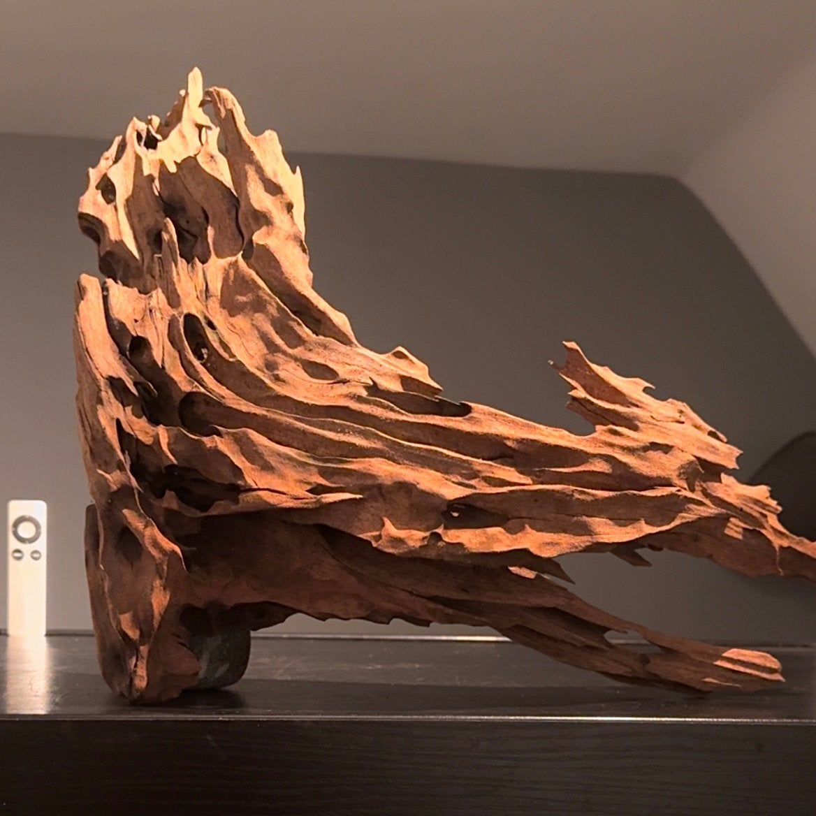 Uniek stuk Kienhout / Spiderwood / Driftwood, Hout Decoratie, Ophalen of Verzenden, Zo goed als nieuw, Plant(en), Steen of Hout