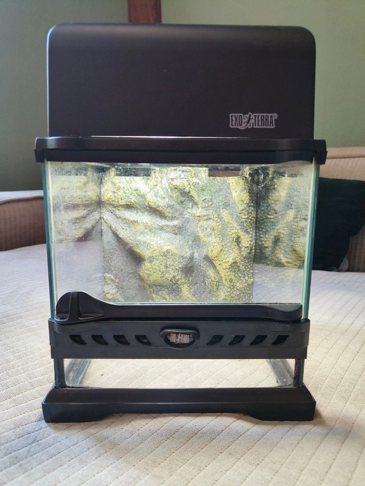 Exo terra Nano terrarium 20x20x20, Ophalen, Zo goed als nieuw, Terrarium of Paludarium