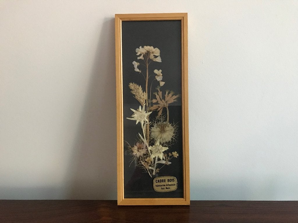 Lijst kader rechthoek droogbloemen edelweiss achter glas, Ophalen of Verzenden