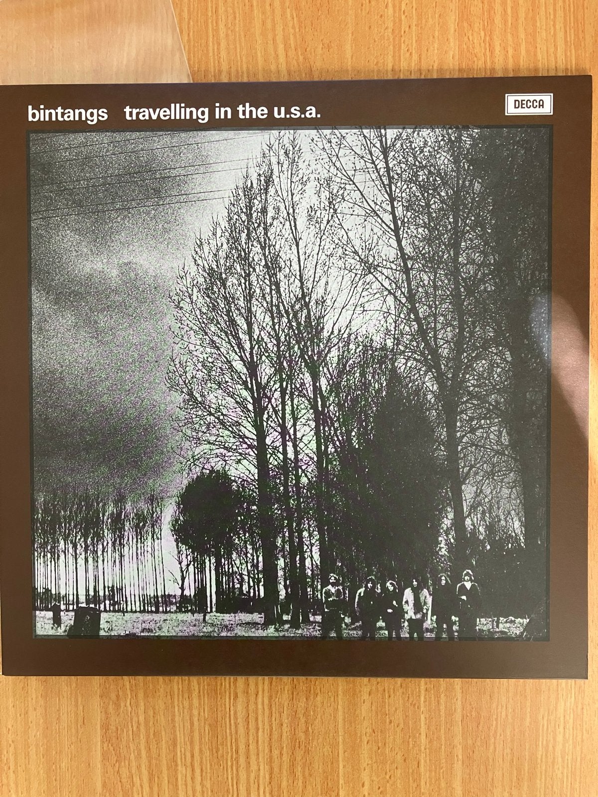 Bintangs - Travelling in the U.S.A. (Limited Silver Vinyl), LP, Colored vinyl, Ophalen of Verzenden, 12 inch