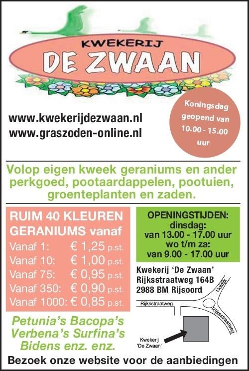 tuinplanten, Tuin en Terras, Ophalen, Eenjarig, Overige soorten, Halfschaduw