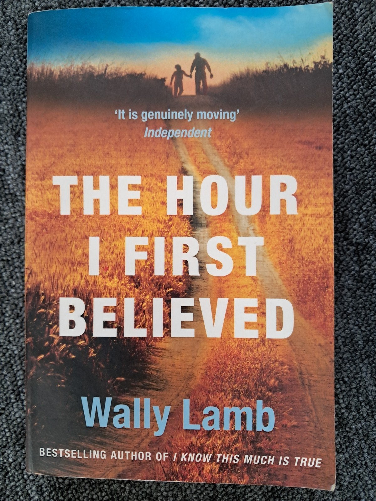 The Hour I First Believed - Wally Lamb (Engels), Ophalen of Verzenden, Gelezen, Wally Lamb, Amerika