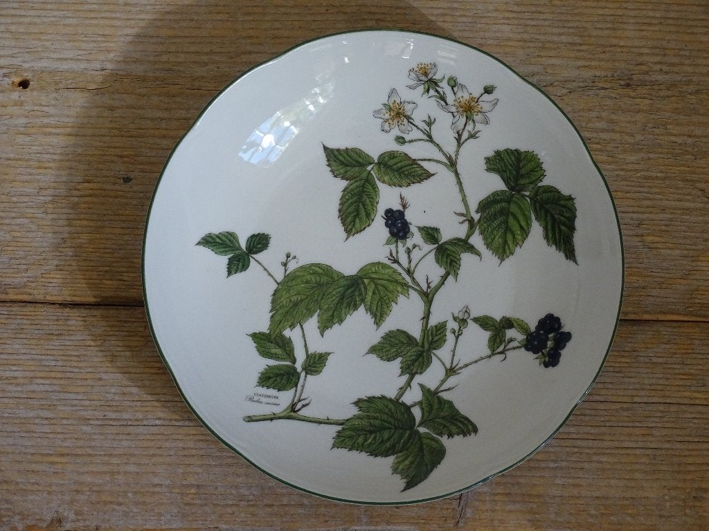 1x Diep Bord, Bavaria Seltmann-Weiden, WALDBEERE, z.g.a.n., Ophalen of Verzenden