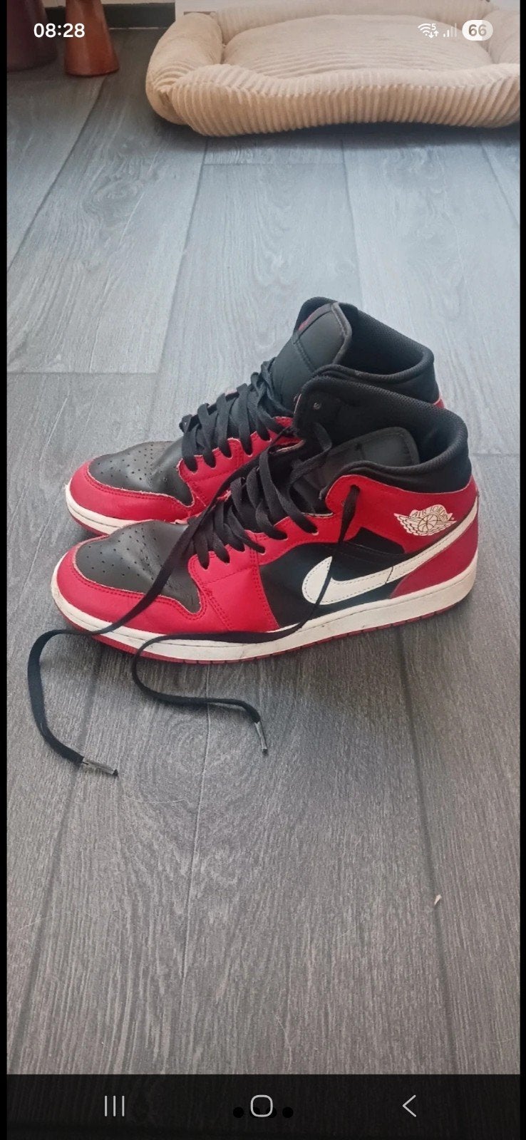 Nike Jordan sneakers maat 43 - Zo goed als nieuw, Kleding | Heren, Schoenen, Overige kleuren, Nike Jordan, Ophalen of Verzenden