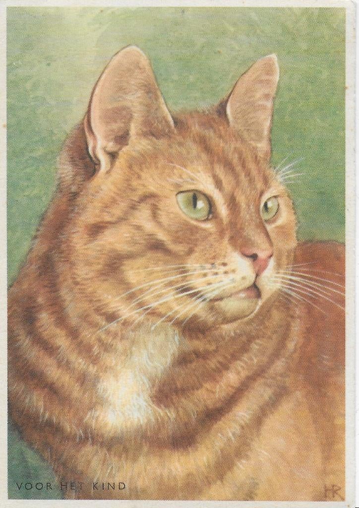 A790 gelopen ansichtkaart voor het kind de rode kater, Ophalen of Verzenden, 1980 tot heden, Gelopen