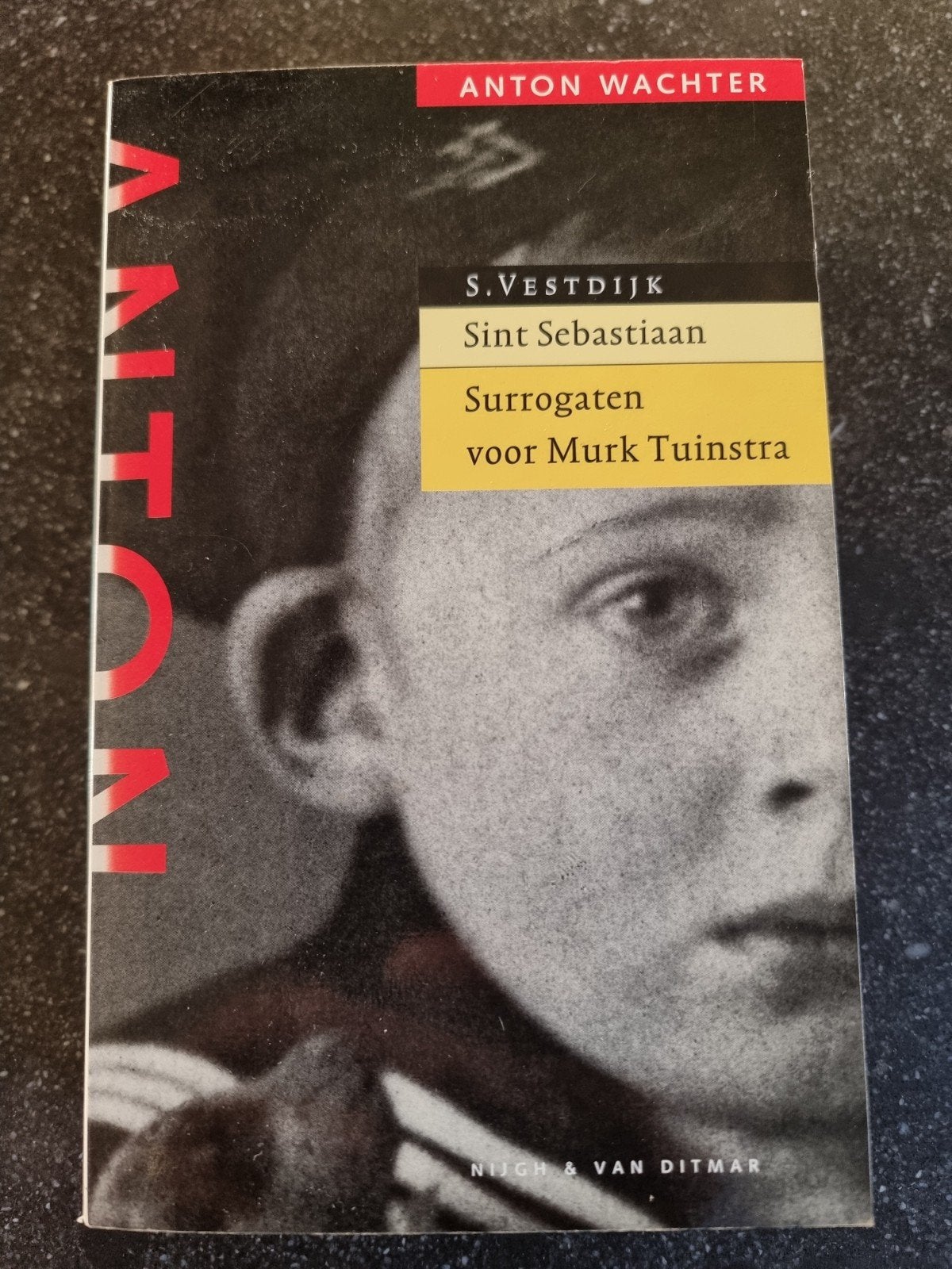 S. Vestdijk - Sint Sebastiaan / Surrogaten vo, Ophalen of Verzenden, Gelezen, S. Vestdijk, Nederland
