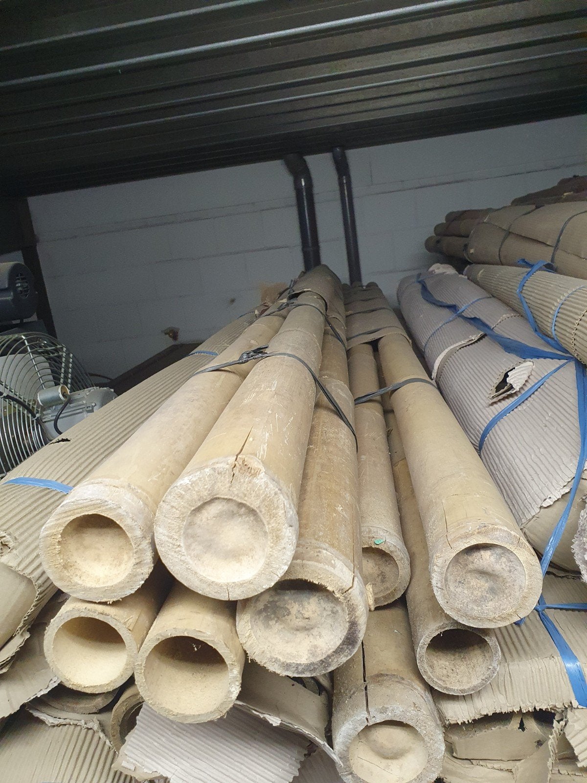 Bamboe palen diverse diktes en lengtes, Ophalen, 250 cm of meer, Palen