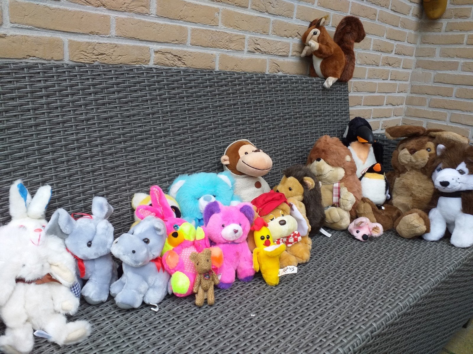 Grote collectie knuffels - Diverse soorten en maten, Gebruikt, Overige merken, Overige karakters, Ophalen of Verzenden