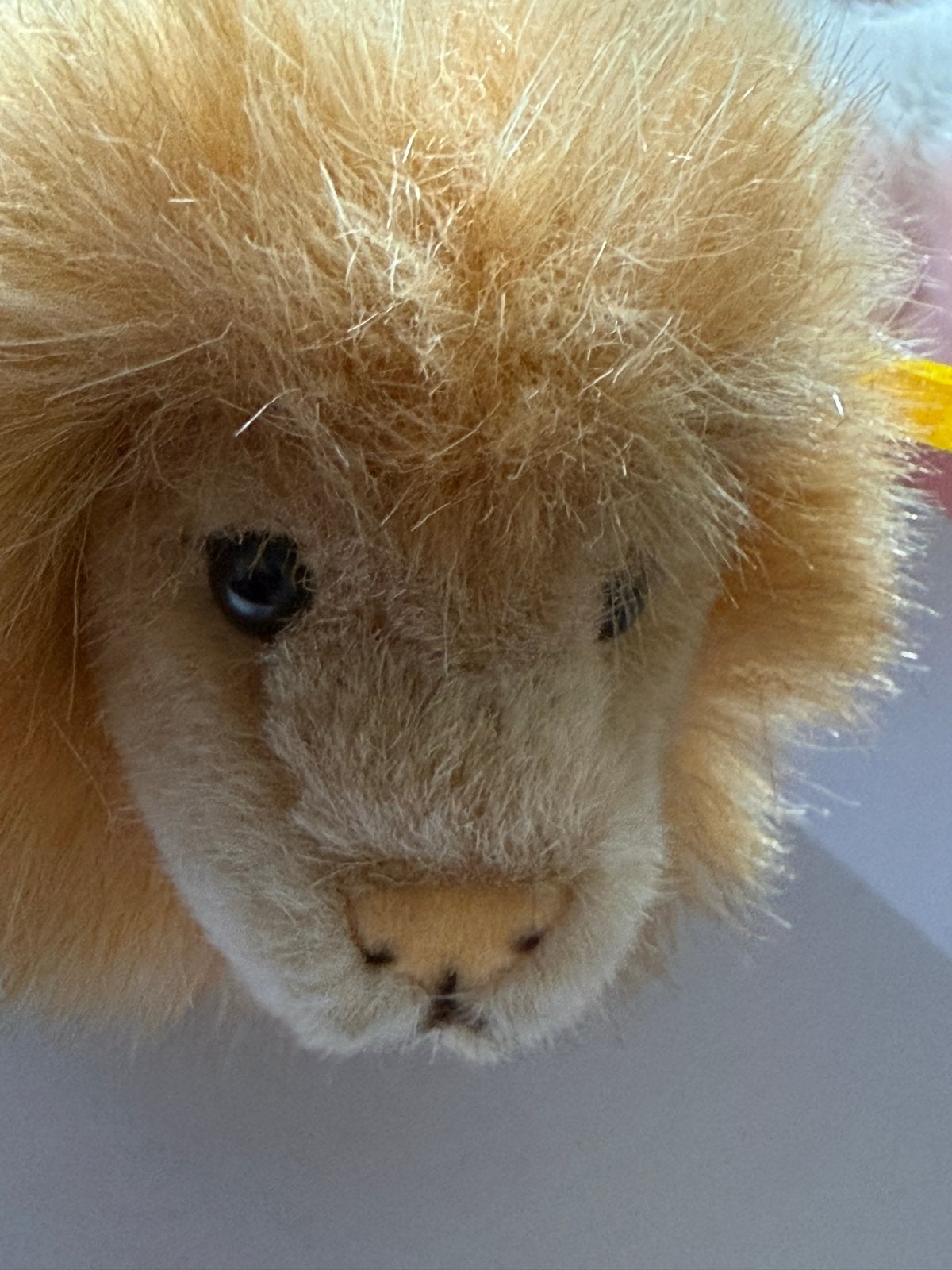 Steiff Leeuw met knop en label in oor, in vitrine gestaan, Overige merken, Verzenden, Overige typen, Beige