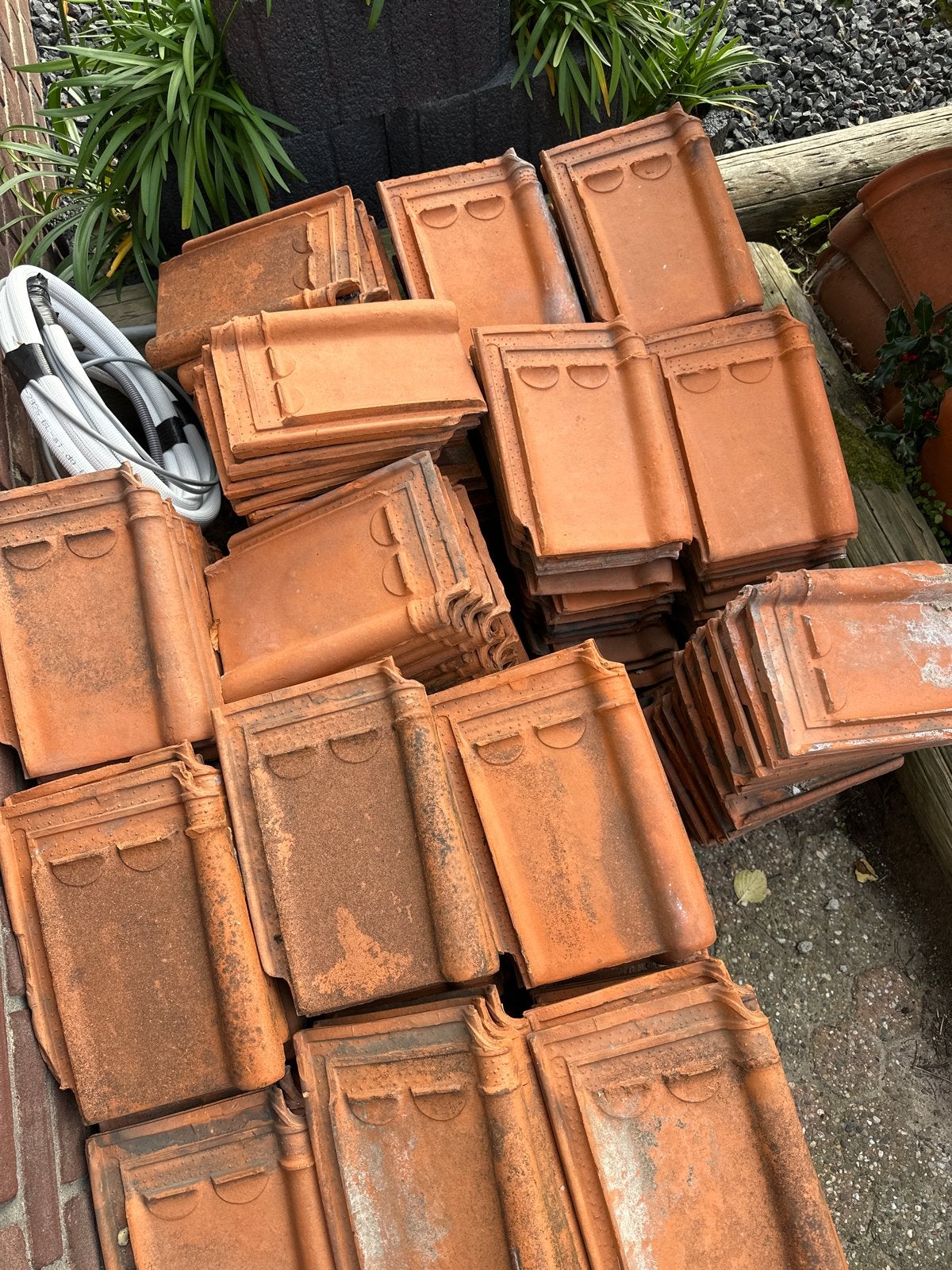 240+ Sterreberg Courtai dakpannen - Made in Belgium, Ophalen, Gebruikt, Steen of Klei, Dakpannen
