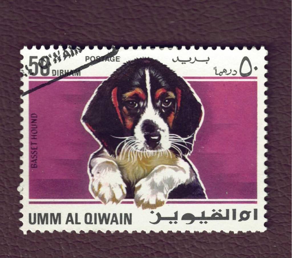 Fauna - Honden - Umm al Qiwain - 50 Dirham - Basset - gebr, Ophalen of Verzenden, Gestempeld, Dier of Natuur