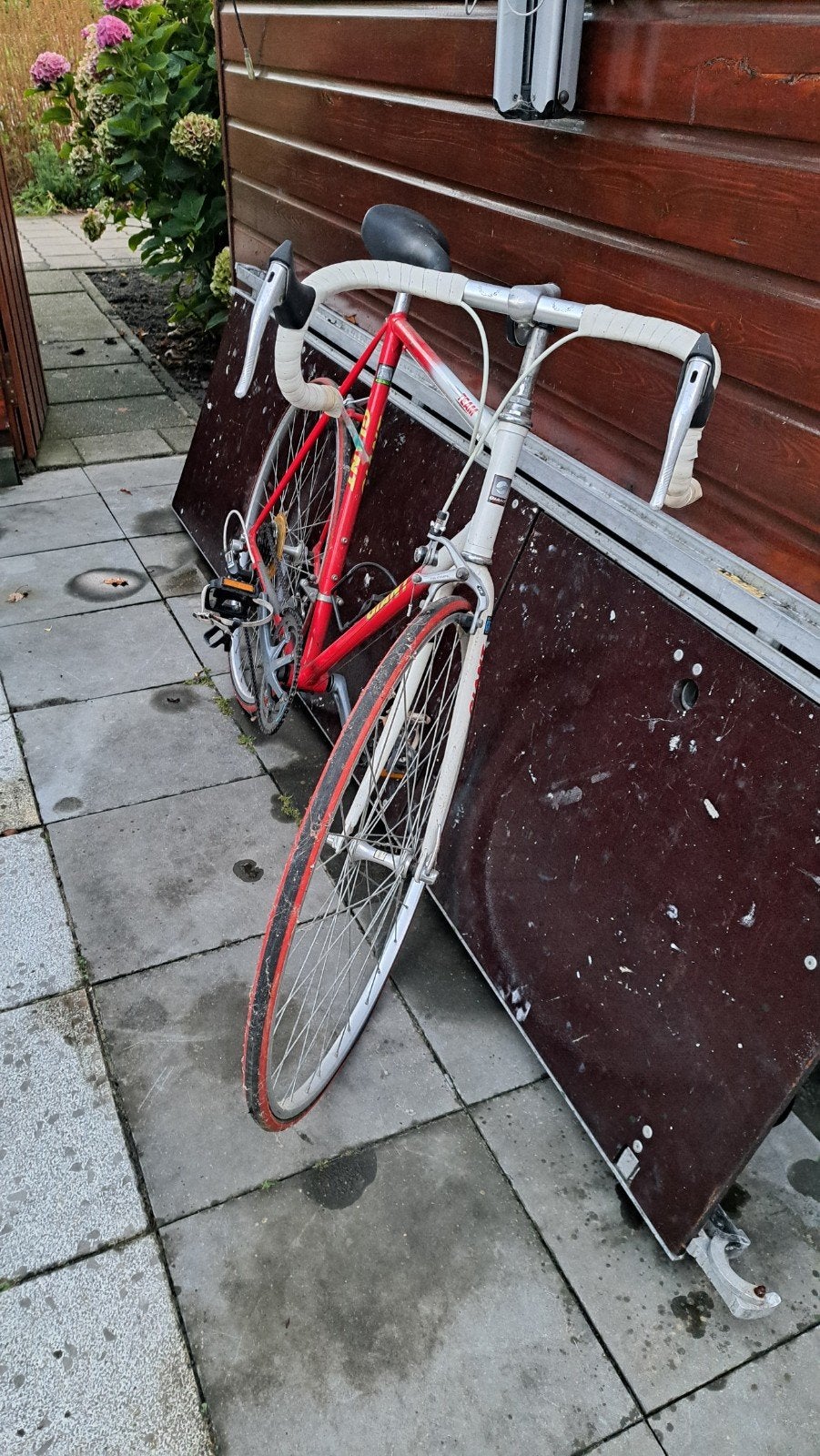 Racefiets Giant in goede conditie, Ophalen, 28 inch, Gebruikt, 10 tot 15 versnellingen