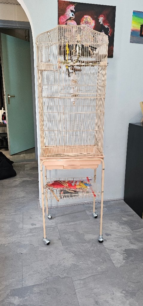 Vogelkooi voor Parkieten Kanaries met alle accessoires., Dieren en Toebehoren, Ophalen, Zo goed als nieuw, Metaal, Vogelkooi