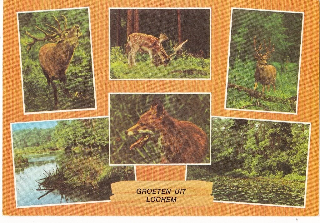 Lochem – collage - kleur – gelopen - 1976, Verzenden, 1960 tot 1980, Gelopen, Gelderland
