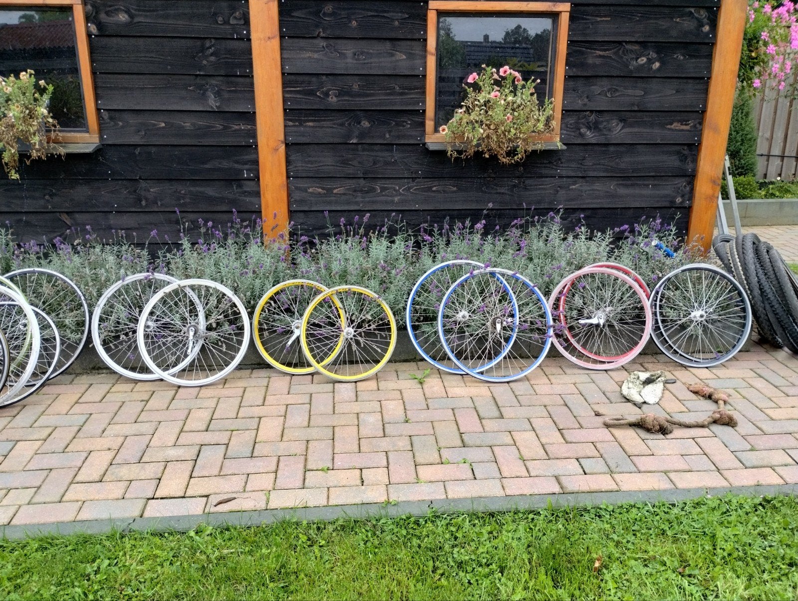 Batavus snake, Fietsen en Brommers, Ophalen of Verzenden