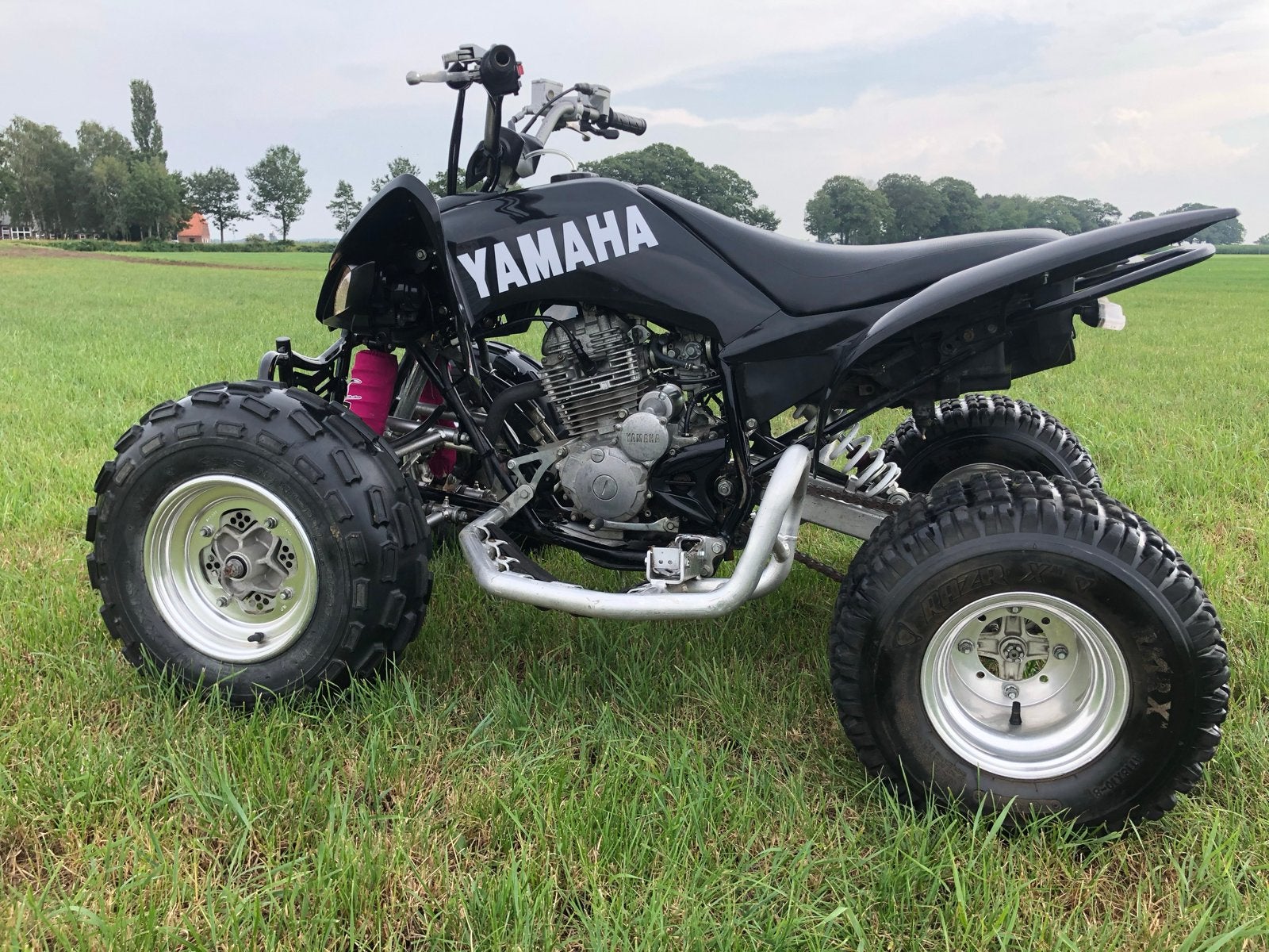 Yamaha Raptor 250cc Quad - Project voor de handige klusser, Ophalen of Verzenden