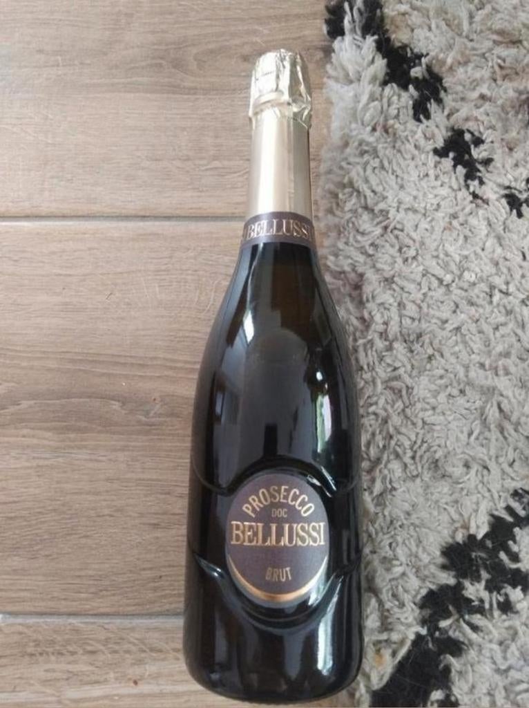 bellussi prosecco brut

Prijs 3, Ophalen of Verzenden, Nieuw, Frankrijk, Champagne