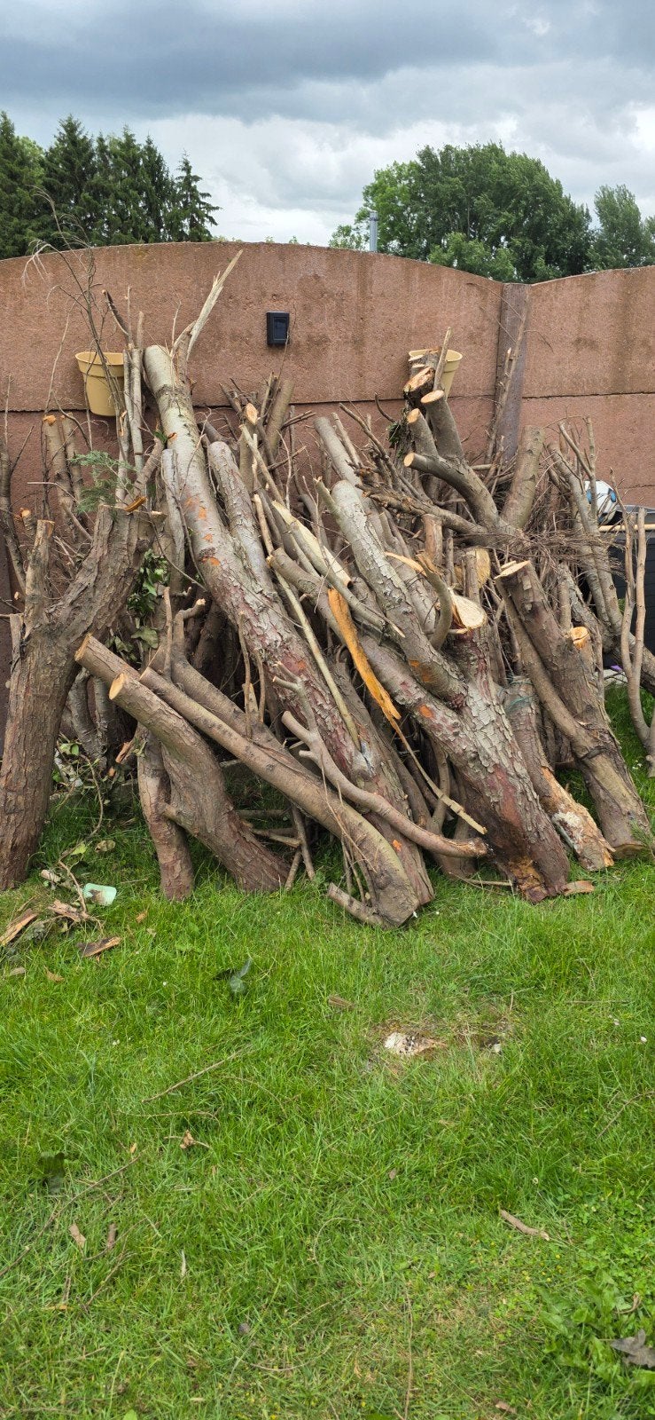 Haardhout gratis ophalen, Tuin en Terras, Minder dan 3 m³, Ophalen of Verzenden