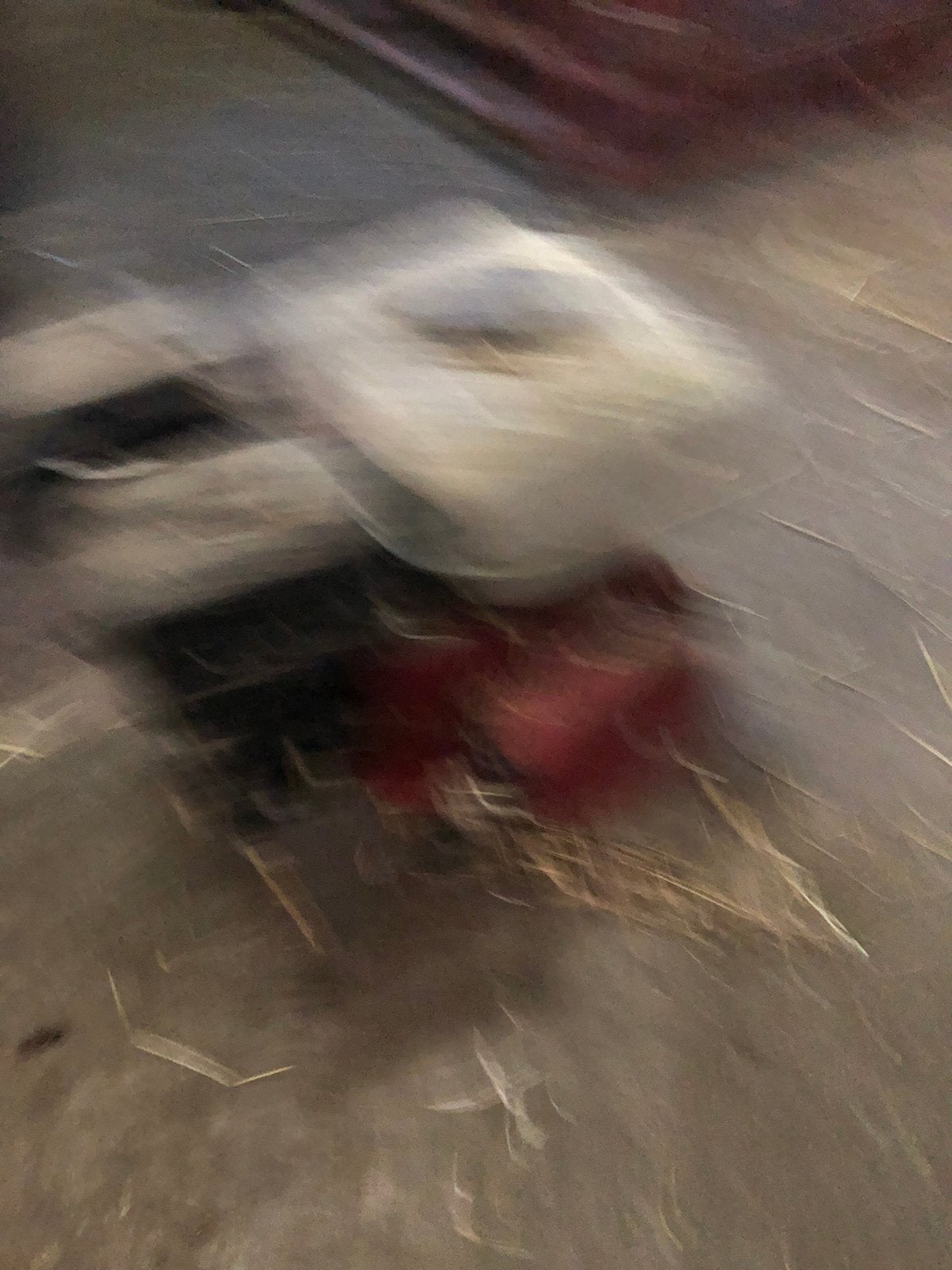 Honda GX140, Ophalen, Gebruikt