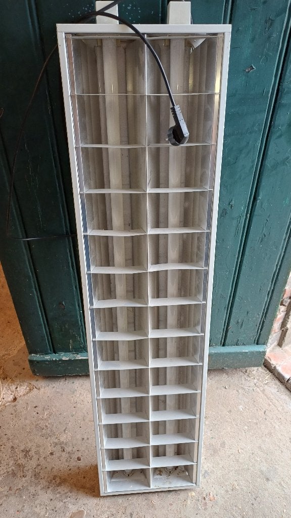 Dubbele Tl balk, Ophalen, Gebruikt, Minder dan 50 watt, Lamp met armatuur