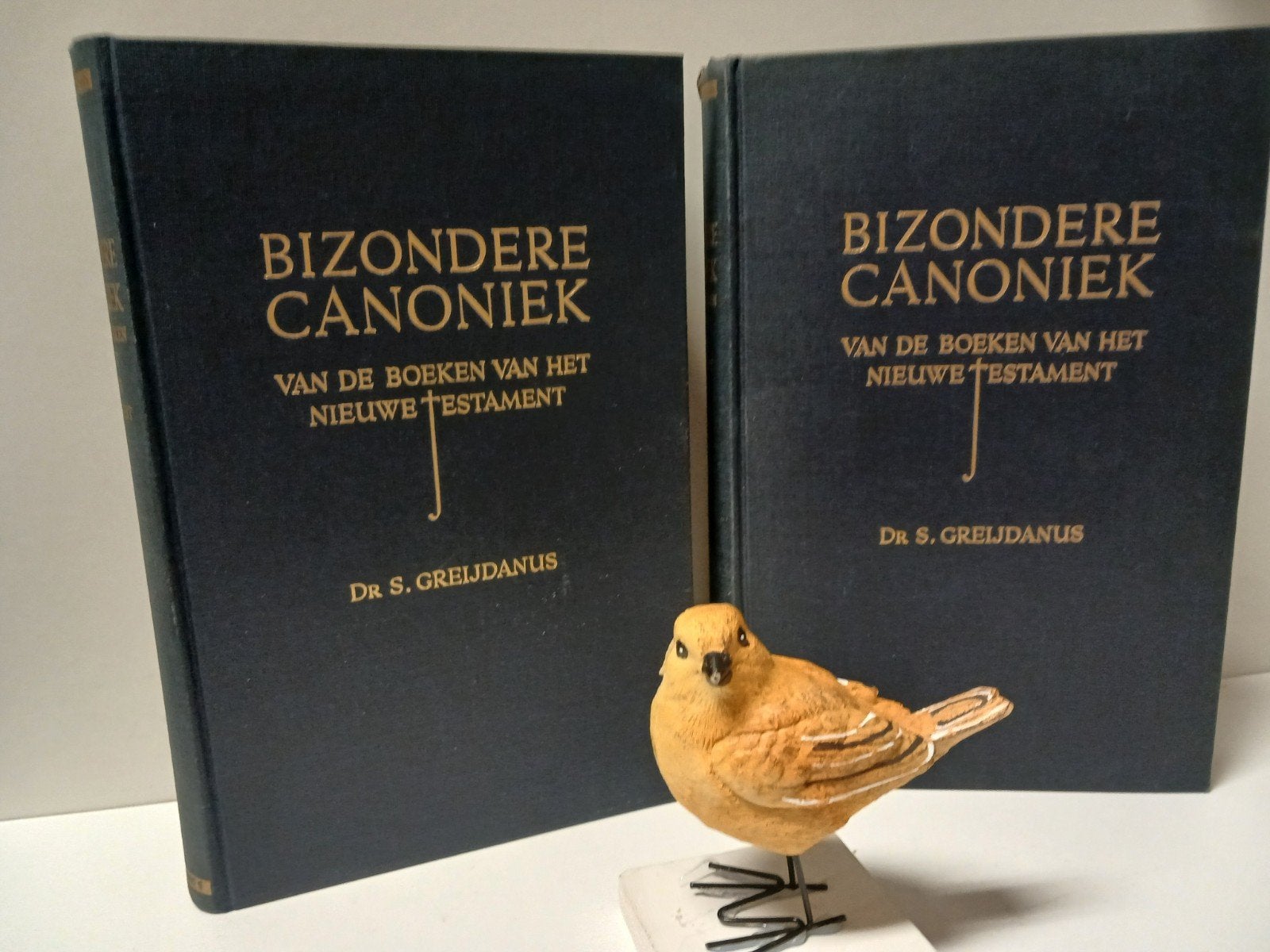 Greijdanus, Dr. S.; Bizondere canoniek vd boeken van het NT, Ophalen of Verzenden, Gelezen, Christendom | Protestants