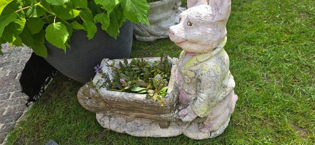Beton varkentje met kruiwagen, Tuin en Terras, Tuinbeelden, Ophalen