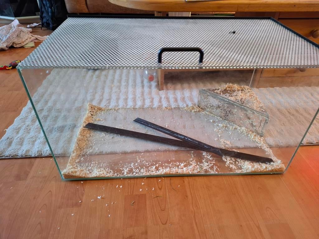 Hamster bak, Kooi, Minder dan 75 cm, Hamster, Ophalen