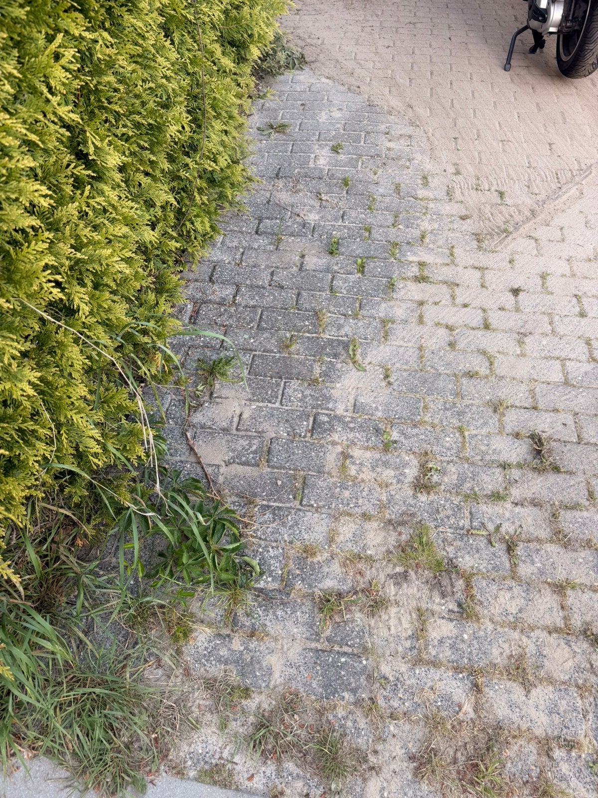 Klinkers 50m2, Ophalen of Verzenden, Beton, Klinkers