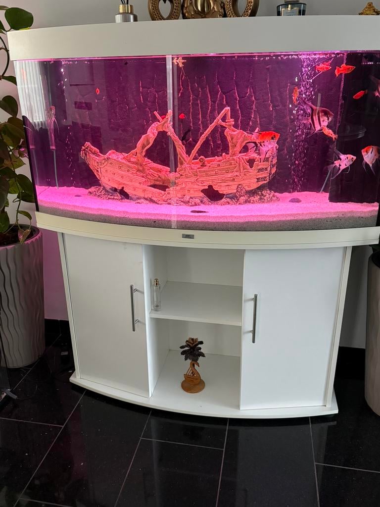 Juwel vision, Dieren en Toebehoren, Vissen | Aquaria en Toebehoren, Ophalen of Verzenden, Zo goed als nieuw, Leeg aquarium