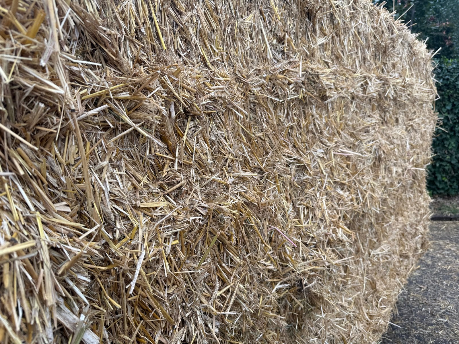 Grote balen stro van goede kwaliteit, Ophalen