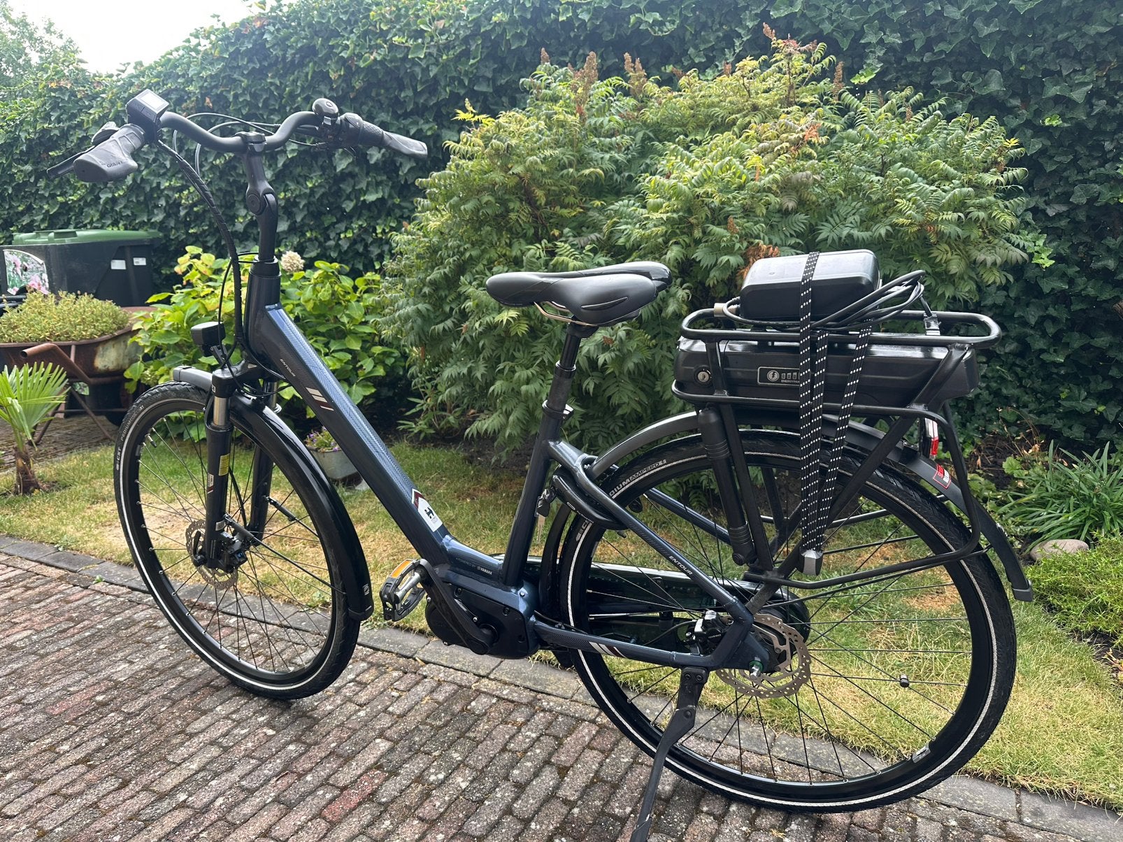 Giant Entour E+, Ophalen of Verzenden, Zo goed als nieuw, Overige merken
