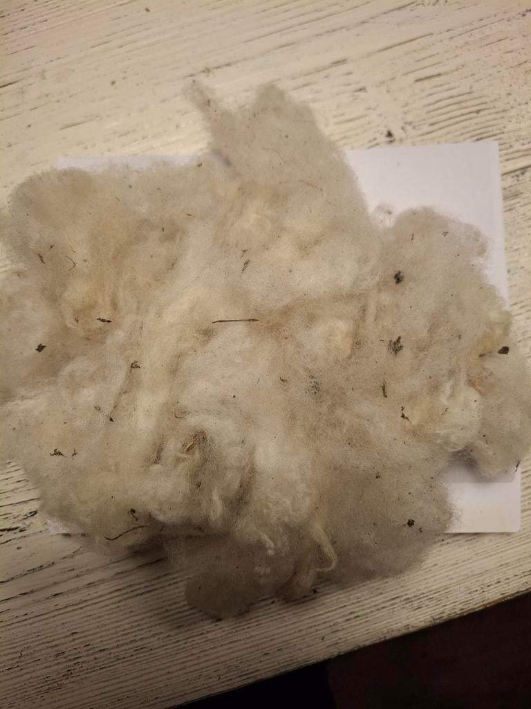 Nestmateriaal, wol, Meerdere dieren