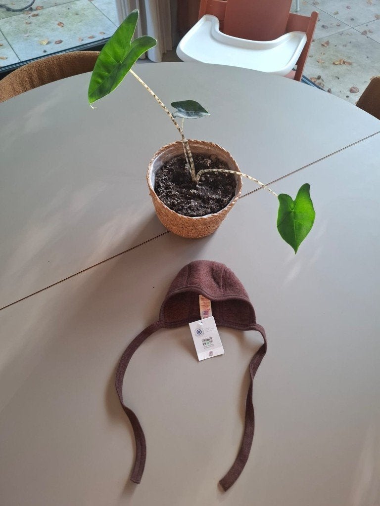 Origineel Engel Natur mutsje, ongebruikt!, Ophalen, Overige typen, Jongetje of Meisje, Engel