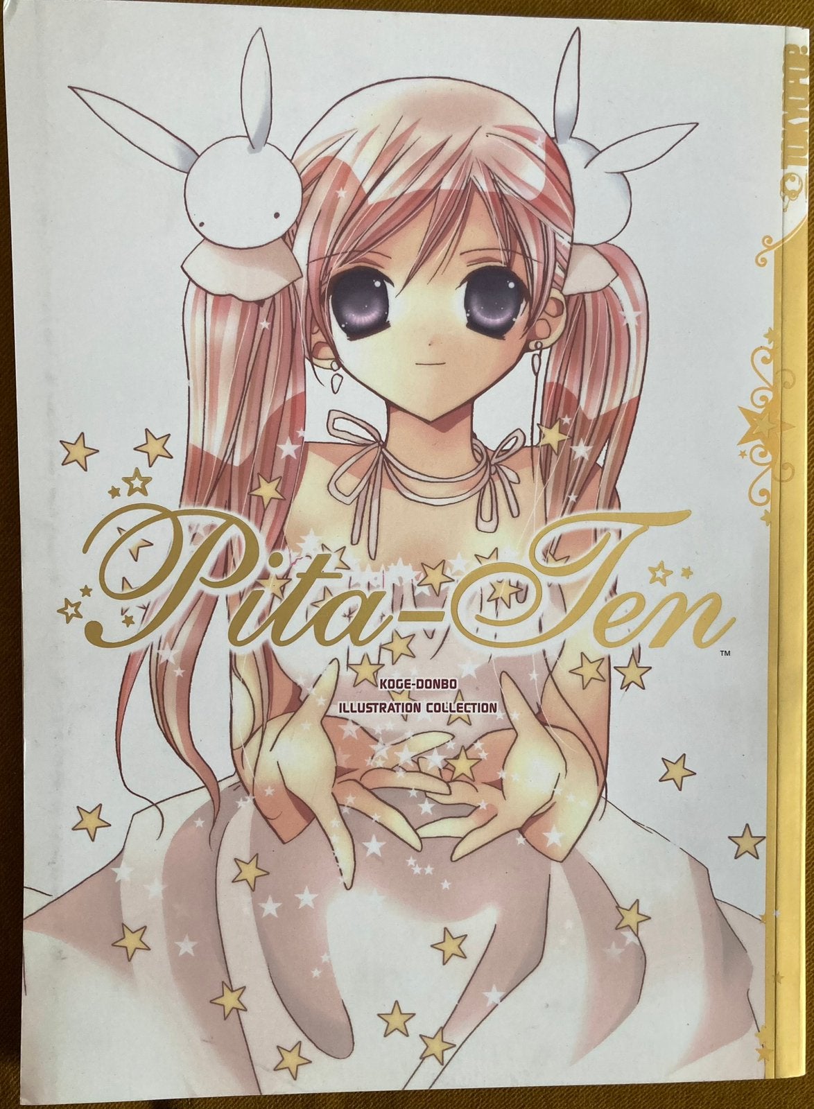 Illustratieboek Pita Ten, Ophalen of Verzenden, Nieuw, Prentenboek