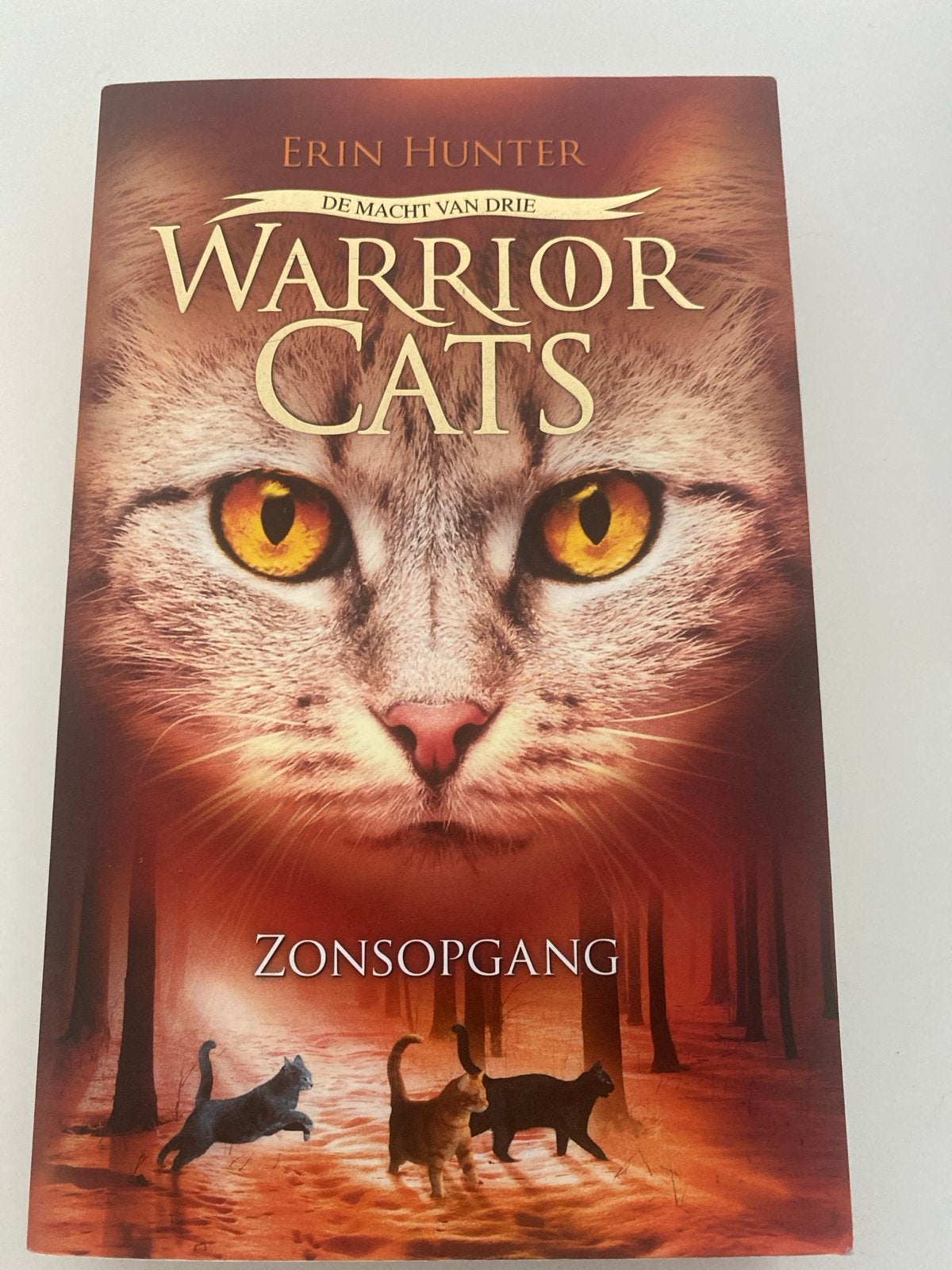 Warrior Cats: Zonsopgang - De Macht van Drie (Erin Hunter), Ophalen, Zo goed als nieuw, Nederland