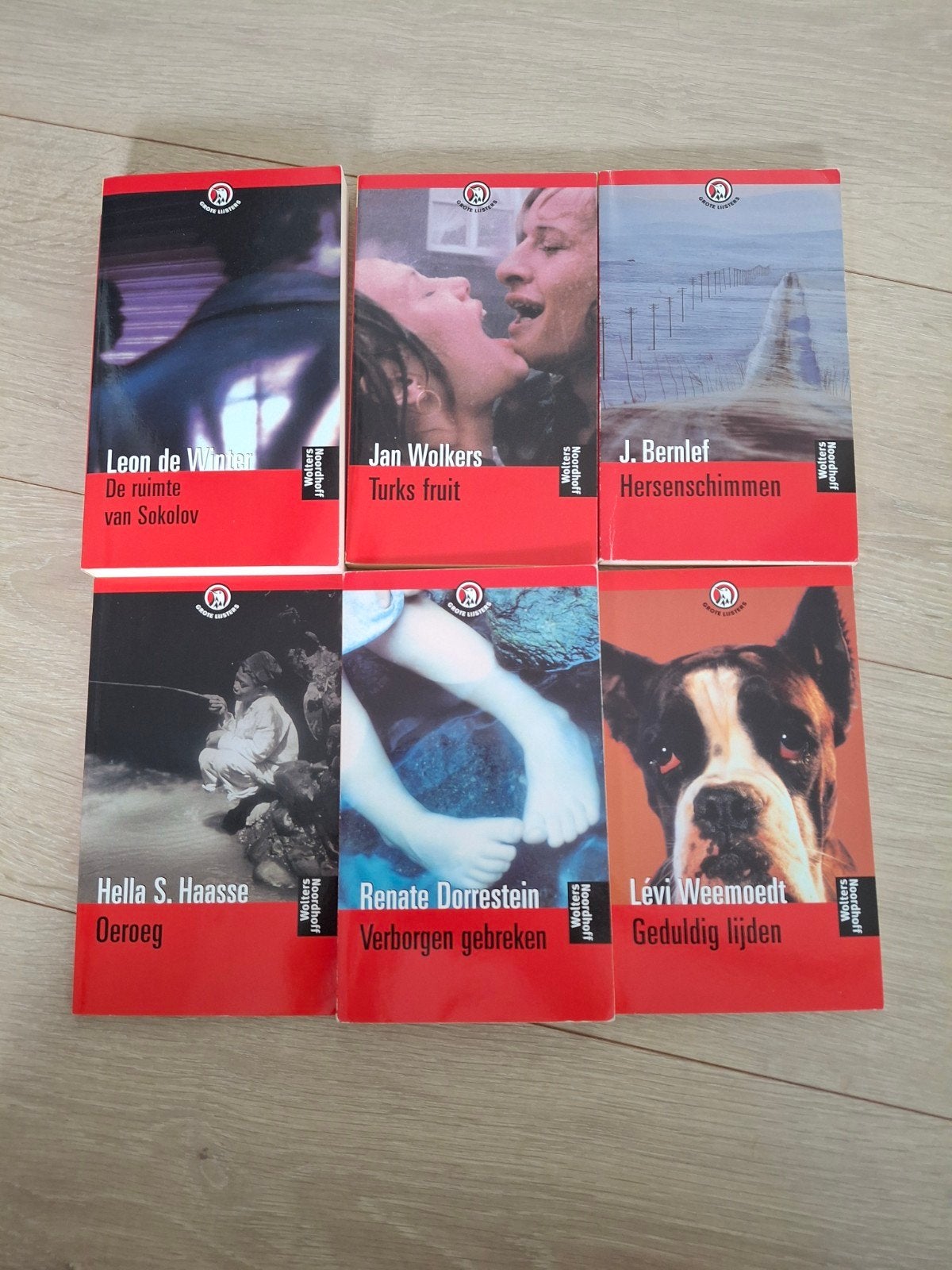 6 Wolters Noordhoff boeken: Leon de Winter, Jan Wolkers e.a., Ophalen of Verzenden, Gelezen, Diverse auteurs, Nederland