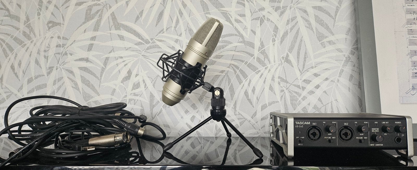 Tascam US-2x2 Audio Interface Microfoon, kabels, Ophalen of Verzenden, Zo goed als nieuw, Studiomicrofoon