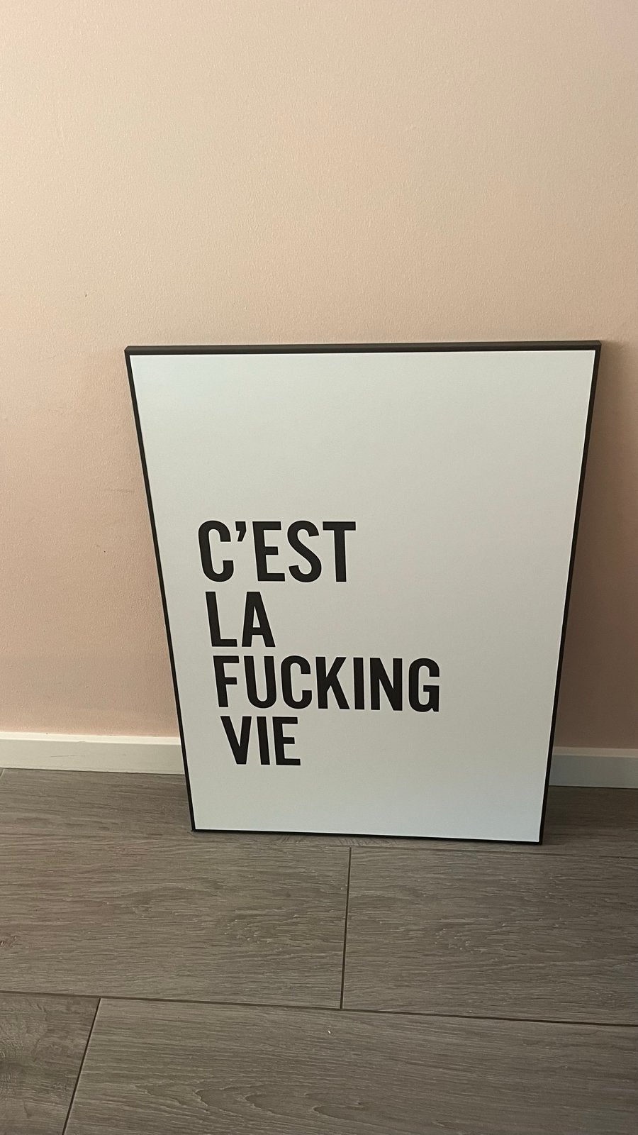 C'est La Fucking Vie Poster 50x70cm, Ophalen, 50 – 75, Zo goed als nieuw, Foto of Poster