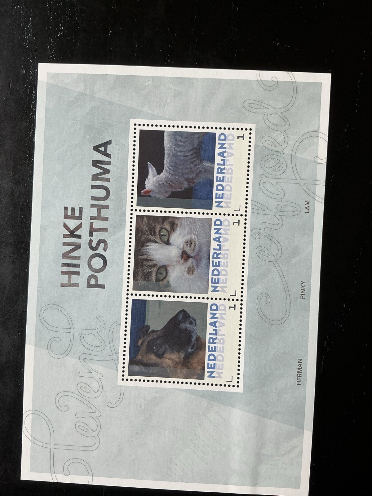 Postzegelvel Hinke Posthuma en Hiske Wiersma, Ophalen of Verzenden, Na 1940, Postfris